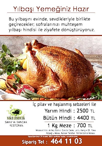 2025 Yılbaşı Hindisi